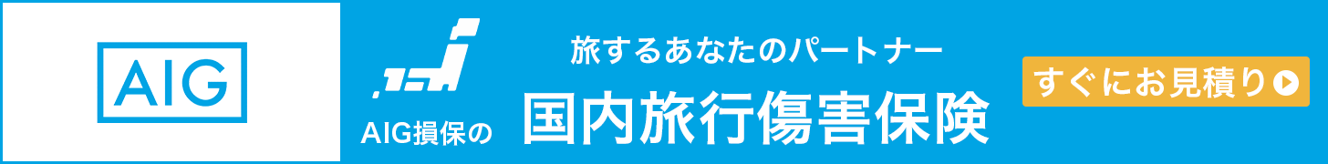国内旅行傷病保険